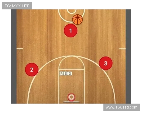 南京排球队反击战术深度解析与实战应用探讨