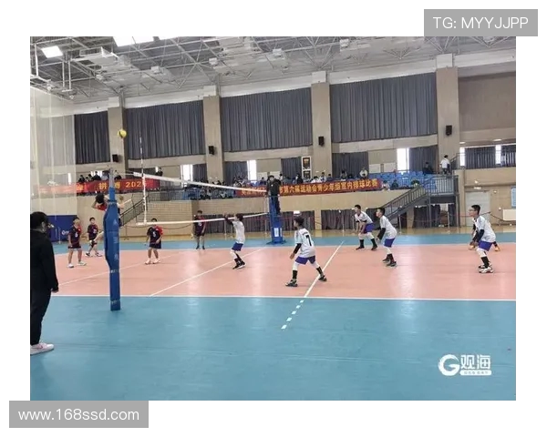 成都排球队的训练与比赛状态全景揭秘，展现排球运动的魅力与团队精神